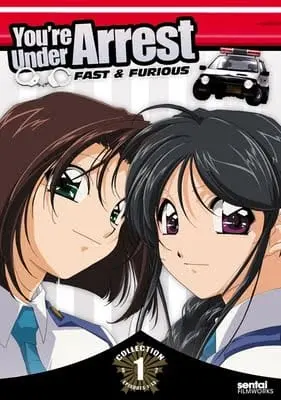 Вы арестованы! 2 сезон